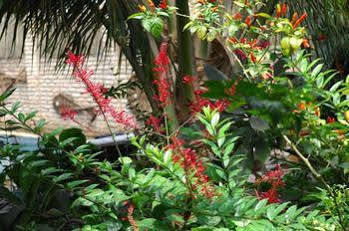 Hotel Creston 3*